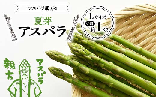 《先行予約》アスパラ親方の夏芽アスパラ Lサイズ 合計約1kg F23R-617