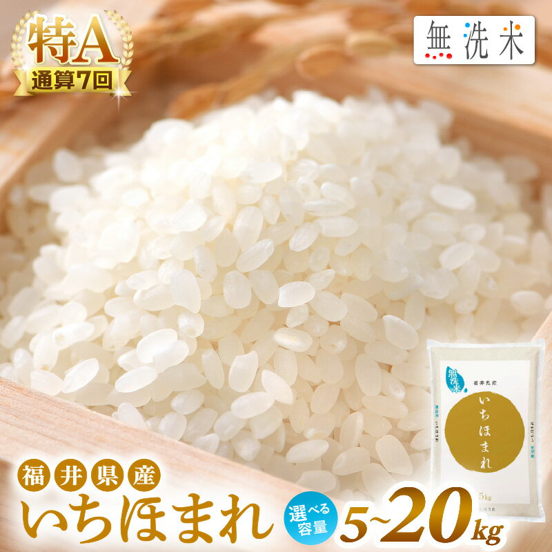 【ふるさと納税】令和7年産 お米 無洗米 いちほまれ 特A 通算7回！ 選べる 内容量 5kg 10kg 15kg 20kg 定期便 1回 3回 6回 12回 福井県産 米 コメ kome 5キロ 10キロ 15キロ 20キロ 3ヶ月 6ヶ月 12ヶ月 [e27-sku002] aj