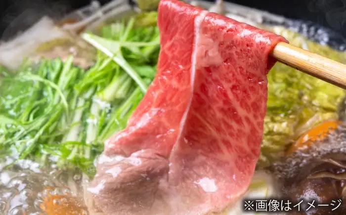 【全6回定期便】長崎和牛 モモスライス 総計3.0kg （約500g/回）【ながさき西海農業協同組合】 [DBV032][DBV032]