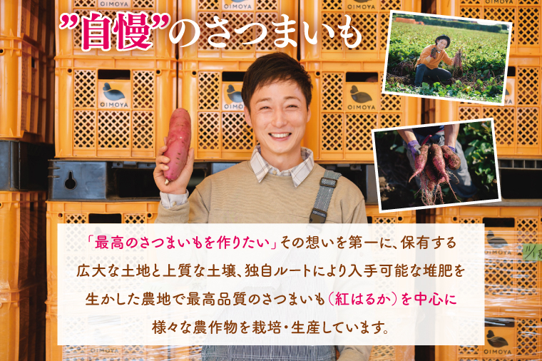 熟成 紅はるか生芋 Mサイズ 混合 10kg いも サツマイモ さつまいも 食物繊維 腸活 ねっとり 甘い 焼き芋 お取り寄せ グルメ 水戸市 茨城県（IN-21) M
10kg