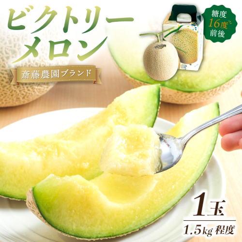斎藤農園ブランド「ビクトリーメロン」アールスメロン(マスクメロン)1玉 1.5kg程度≪先行予約2027年6月下旬以降発送分≫