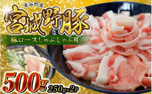 ☆農林水産大臣賞受賞☆ 涌谷町産 宮城野ポーク 豚ロース しゃぶしゃぶ用 500g (250g×2P)  | 豚肉 豚 ぶた肉 豚肉スライス 国産豚 小分け しゃぶしゃぶ 豚ロース 豚ロース肉 人気 豚肉 銘柄豚【sari005】