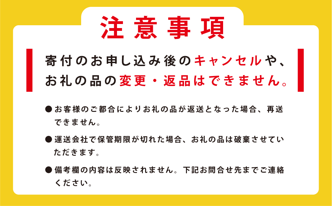 オホーツクの鮭節とんこつラーメン16袋　1箱　らーめん　麺類　乾麺　湧別町　北海道