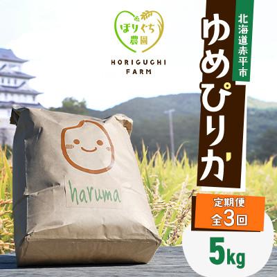 ふるさと納税 赤平市 【発送月固定定期便】ほりぐち農園直送のお米 精米したてゆめぴりか　5kg全3回