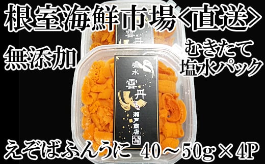 
B-14095 無添加むきたてエゾバフンウニ(赤系)塩水パック40～50g×4P
