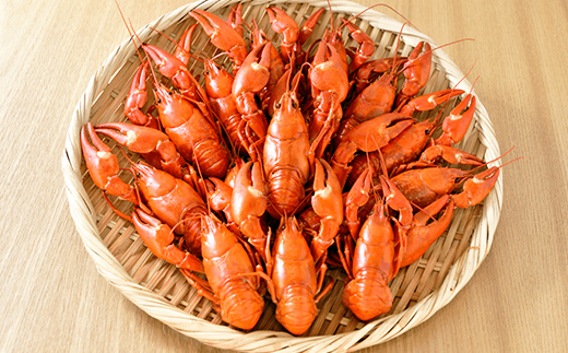 【唯一無二】レイクロブスタースープ 160g×3 スープ ロブスター 簡単 魚介 小分け 常温 時短 レトルト 北海道 阿寒 F4F-2567