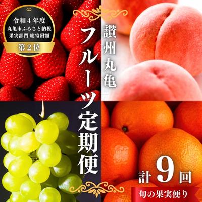 【ふるさと納税】 フルーツ 定期便 9回 丸亀のフルーツ 旬のお届け 果物 果物類 シャインマスカット みかん 桃 キウイ ぶどう 厳選 旬 詰め合わせ お楽しみ 　お届け：※ご入金確認月の翌該当回より順次配送致します。