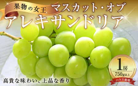 【先行受付】岡山県産マスカットオブアレキサンドリア 1房 (750g以上) ハウス栽培（令和8年7月中旬～8月中旬頃発送）【マスカット】