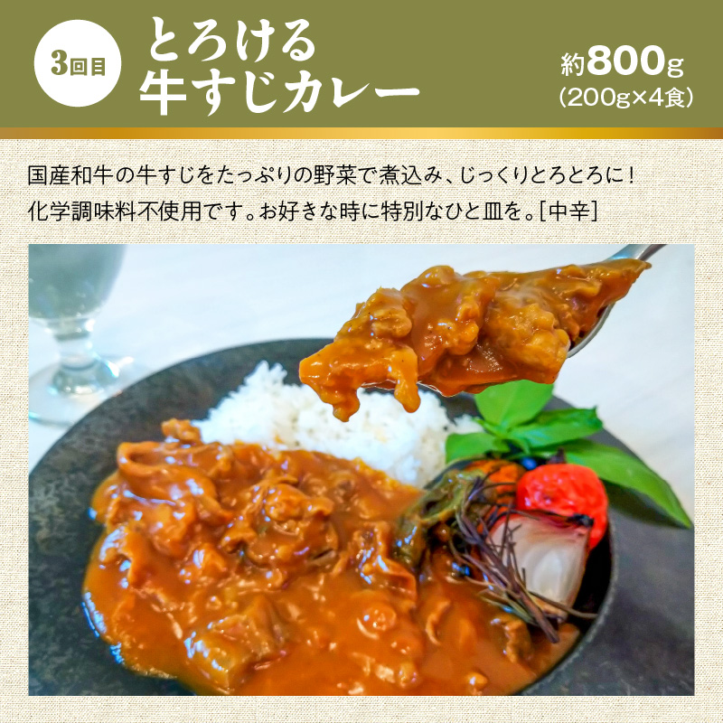 【無添加】碧南DELIシリーズ お肉と惣菜の定期便 6回お届け（6種食べ比べコース 4人前） 時短料理 お手軽 温めるだけ お惣菜 お取り寄せ 冷凍 おいしい オムライス ハンバーグ 牛すじ カレー 