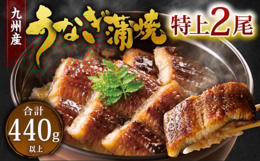 九州産 うなぎ 蒲焼 特上 2尾 計440g以上 (1尾あたり220～235g)【2025年9月発送】