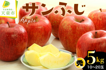 りんご ( サンふじ ) 5kg フルーツ 果物 山形 08-01-062