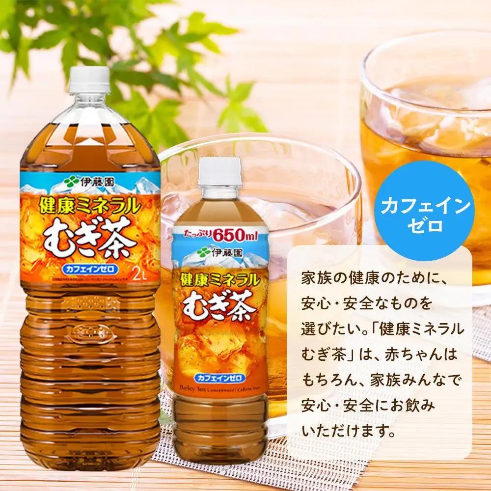 定期便 毎月 全12回 健康ミネラル麦茶 2L×6本 １ケース 12ヶ月定期便
