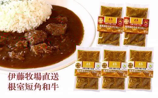 A-13009【年内配送可】 【北海道根室産】短角和牛ビーフカレー3P、牛すじカレー2Pセット