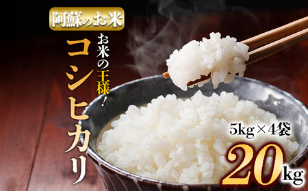 【コシヒカリ・農家指定無】令和6年産　阿蘇の美味しいお米をお届け！20kg (5kg×4袋)　白米 お米 人気 美味しい 白ご飯 こだわり 農業 甘味 香り ツヤ お米の王様 熊本県 阿蘇市