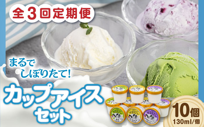 
【全3回定期便】ミルク工房 カップアイスセット（130ml×10個）《喜茂別町》【ニセコリゾート観光協会】 アイス アイスクリーム ジェラート ミルク 抹茶 ブルーベリー 詰め合わせ 冷凍配送 [AJAI056]
