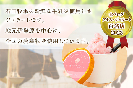 石田牧場のジェラート屋めぐり おまかせ ジェラート12個セット [1222]