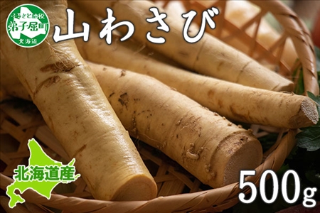 天然 山わさび 500g前後 産地直送 薬味 肉 BBQ バーベキュー 焼き肉  山わさび わさび 天然 山葵  北海道 3166