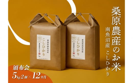 【令和7年度新米予約】【頒布会】日本のお米の最高峰　山間地米　南魚沼産コシヒカリ5kg×2　　12カ月【2025年9月下旬頃より順次発送予定】