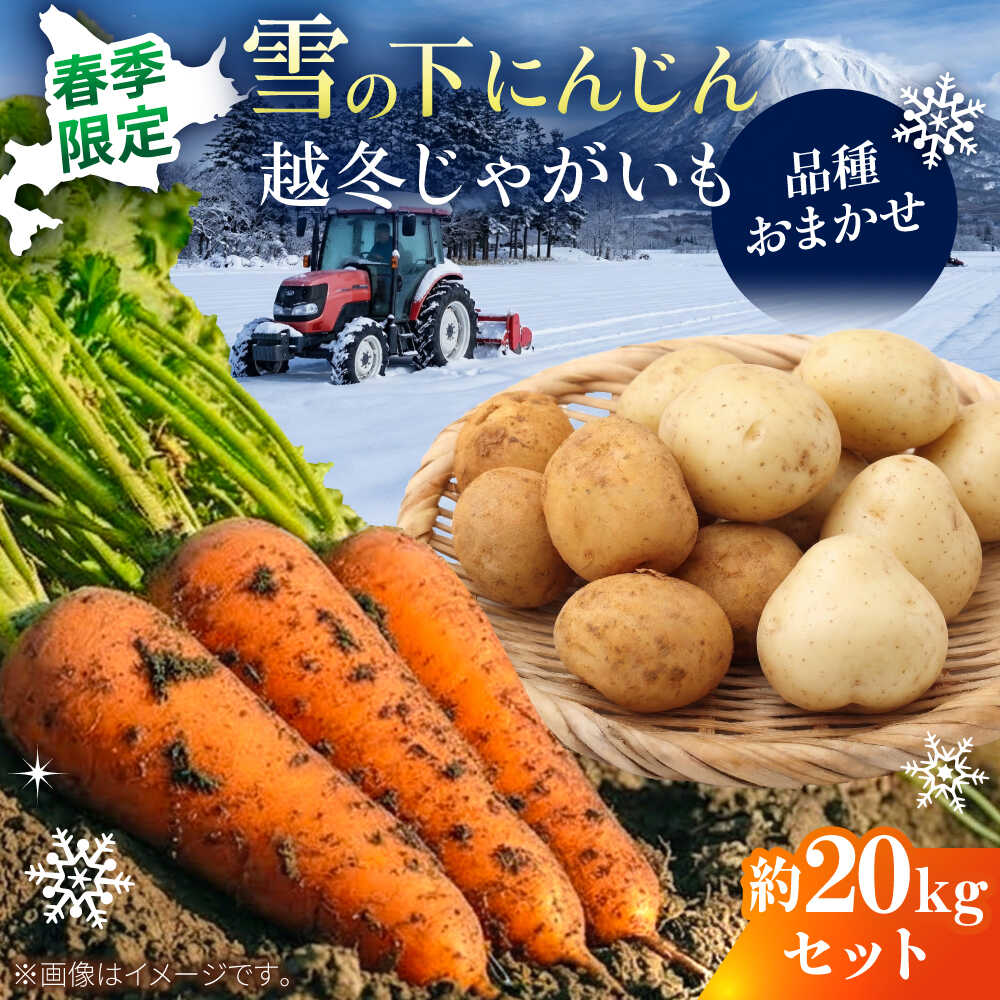 【ふるさと納税】【2027年3月下旬以降順次発送】 雪の下にんじんと越冬じゃがいもセット 計20kg （じゃがいも種類おまかせ） | 野菜セット 野菜 野菜詰め合わせ セット にんじん じゃがいも 先行予約 | 道の駅 真狩フラワーセンター[BPAM031]