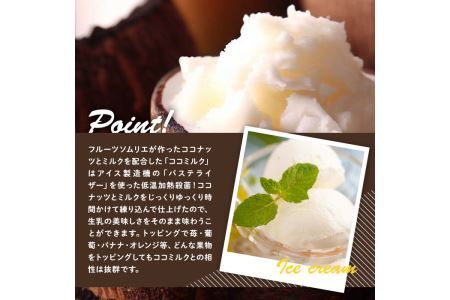 フルーツソムリエが作った濃厚優しいココナッツアイス 業務用 (1L) アイス アイスクリーム ココナツ 手作り スイーツ ＜離島配送不可＞【ksg0055】【南国フルーツ】