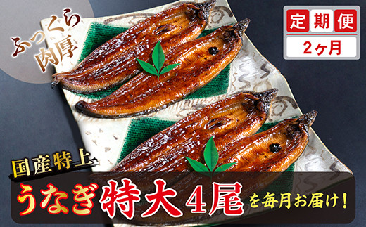 【定期便２回】国産！特上うなぎのかば焼き 約250g × 4尾 × 2回お届け （毎月お届け）