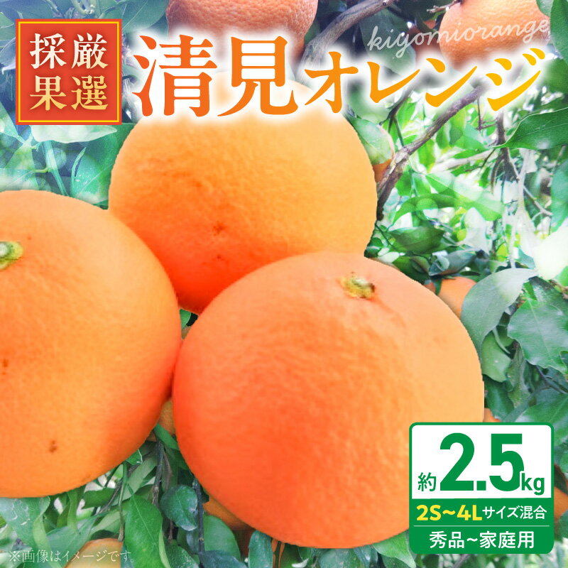 【ふるさと納税】【限定】【2027年先行予約】 庄助農園 清見オレンジ 約 2.5kg サイズ混合 厳選採果 家庭用 訳あり 2S S M L 2L 3L 4L 秀品 傷あり 甘味 酸味 柑橘 フルーツ 果実 デザート お取り寄せ 和歌山県 湯浅町 送料無料