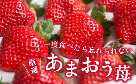 【2024年2月上旬より順次発送】【春】ヨーグルト梅酒720ml ×あまおう 約250g×2パック 糸島市 / 南国フルーツ株式会社[AIK013] 先行予約