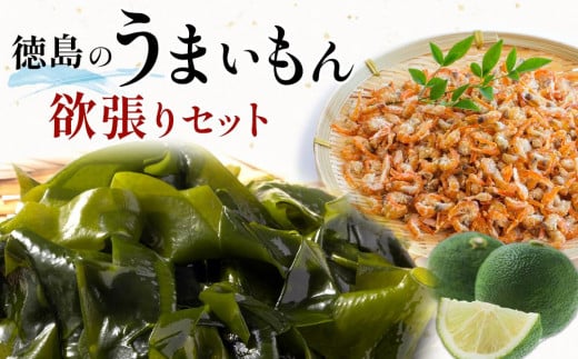 徳島のうまいもん欲張りセット (わかめ のり 海苔 すだち 干しエビ 干海老） | 鳴門わかめ わかめ 生わかめ 海鮮 海産 詰め合わせ 詰合せ 小分け 保存食 味噌汁 みそ汁 酢の物 サラダ 簡単調理 手軽 人気 おすすめ 海の幸 徳島