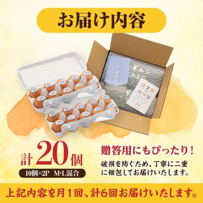 【全6回定期便】【栄養満点！】アルギニン元気たまご 20個×6回お届け 定期便 (月1回) 自然栽培 たまご 卵 【浅田峠自然塾】[EA16]