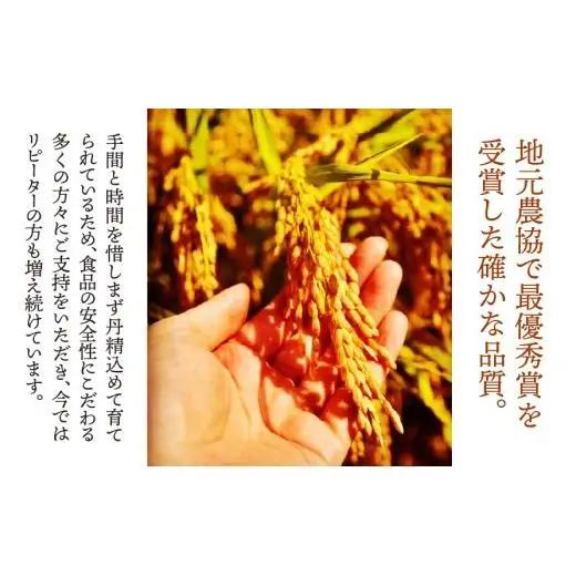 【数量限定】《令和7年産》岐阜県産 コシヒカリ（精米） 5kg | 垂井町産 米 白米 冷めても美味しい米 ブランド米 高品質 安心 安全 リピーター多数 贈答用 贈り物 ギフト プレゼント おしゃれ
