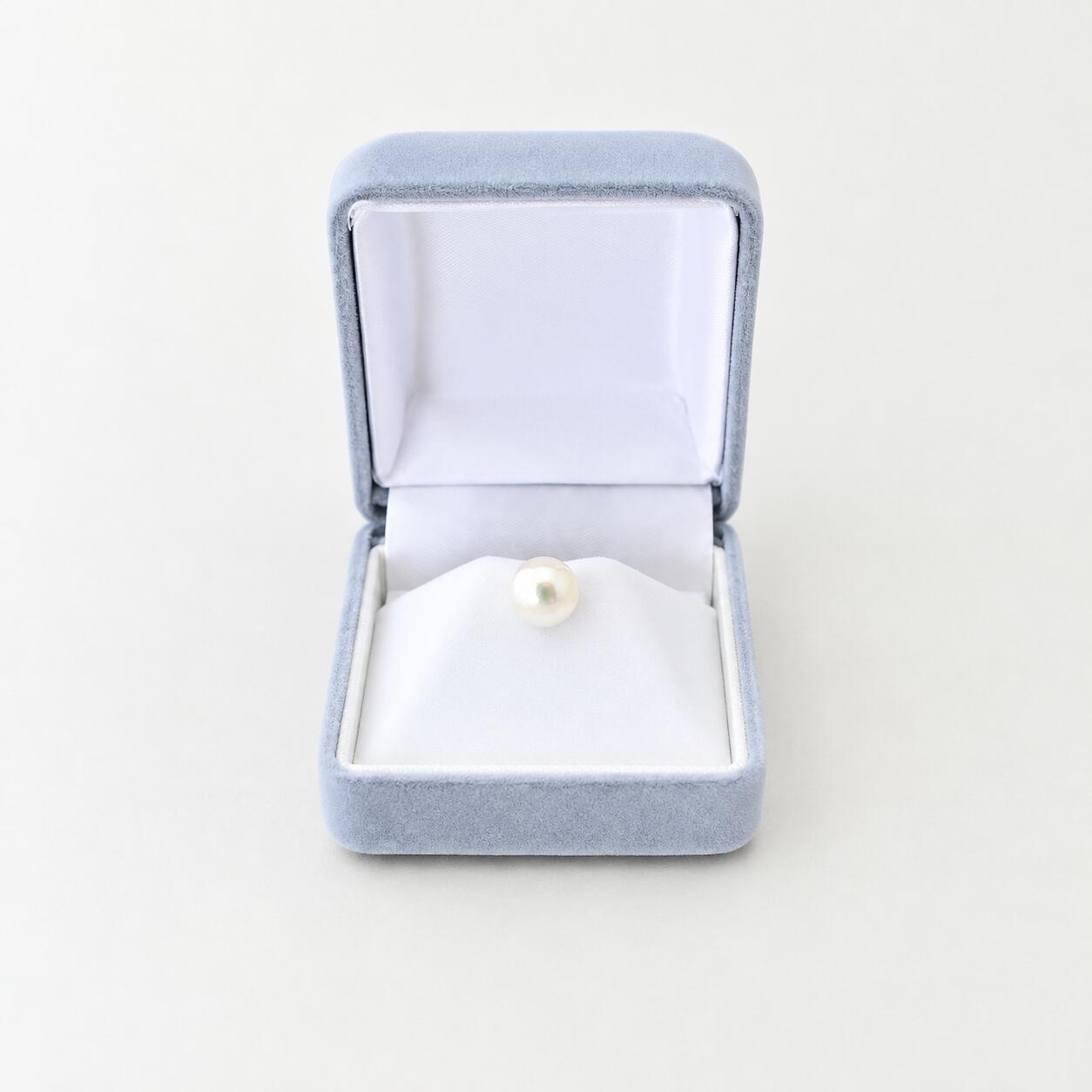 【ふるさと納税】 【天白真珠】 ネクタイピン（アコヤ真珠 8-8.5mm1粒） 【ファッション小物・アクセサリー】