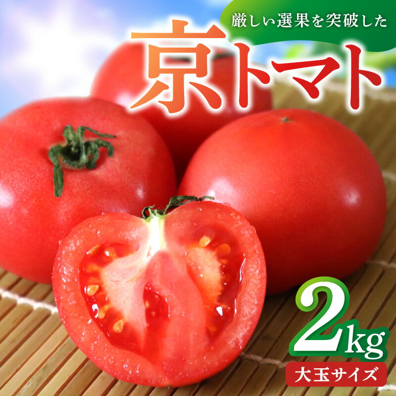 【ふるさと納税】高評価★5.0【14営業日以内発送】京都・京丹後産 京トマト 2kg (8～10玉) 4kg (12～24玉) 春夏発送 (2025年5月中旬～発送) 選べる 内容量 夏野菜 野菜 トマト 大玉 2きろ 4きろ 高糖度 濃厚 甘い 美味しい 完熟 とまと ふるさと納税 トマト JA京都 農協