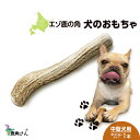 【ふるさと納税】鹿の角 エゾシカ 犬のおもちゃ 『鹿角さん』 中型犬用 割っていないタイプ 1本 CB040犬 ペット おもちゃ 鹿角 エゾシカ ドッグガム 北海道 北海道ふるさと納税 白老 ふるさと納税 北海道