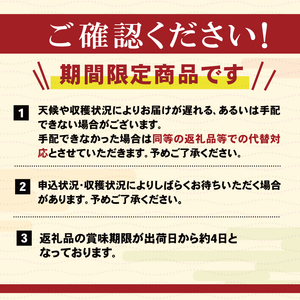 いちご 1種 400g ( 200g × 2 ) 6～12月お届け フルーツ 果物 苺 イチゴ ケーキ