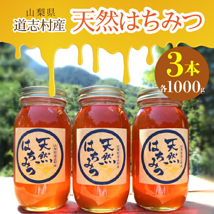 【ふるさと納税】 道志村産　天然はちみつ（1000g×3本）ふるさと納税 はちみつ ハチミツ 蜂蜜 ハニー パン 食パン 山梨県 道志村 送料無料 DSD003