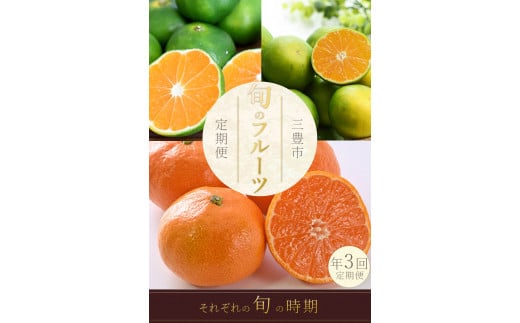 M160-0026_フルーツ定期便 3回 三豊市 極早生みかん2.5kg 早生みかん 2.5kg 石地みかん2.5kg【配送不可地域：北海道・沖縄県・離島】