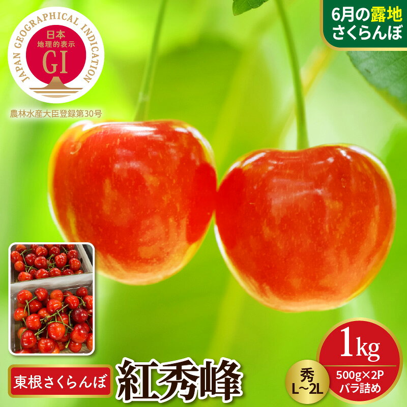 【ふるさと納税】【 2027年産 先行予約 】GI認証 東根 さくらんぼ 紅秀峰 ( 500g × 2P ) 秀 L～2L 1kg バラ詰め | フルーツ 果物 くだもの サクランボ チェリー 小分け 箱入り 化粧箱 期間限定 冷蔵配送 大容量 ご当地 特産 産地 お取り寄せグルメ 東北 山形県 東根市