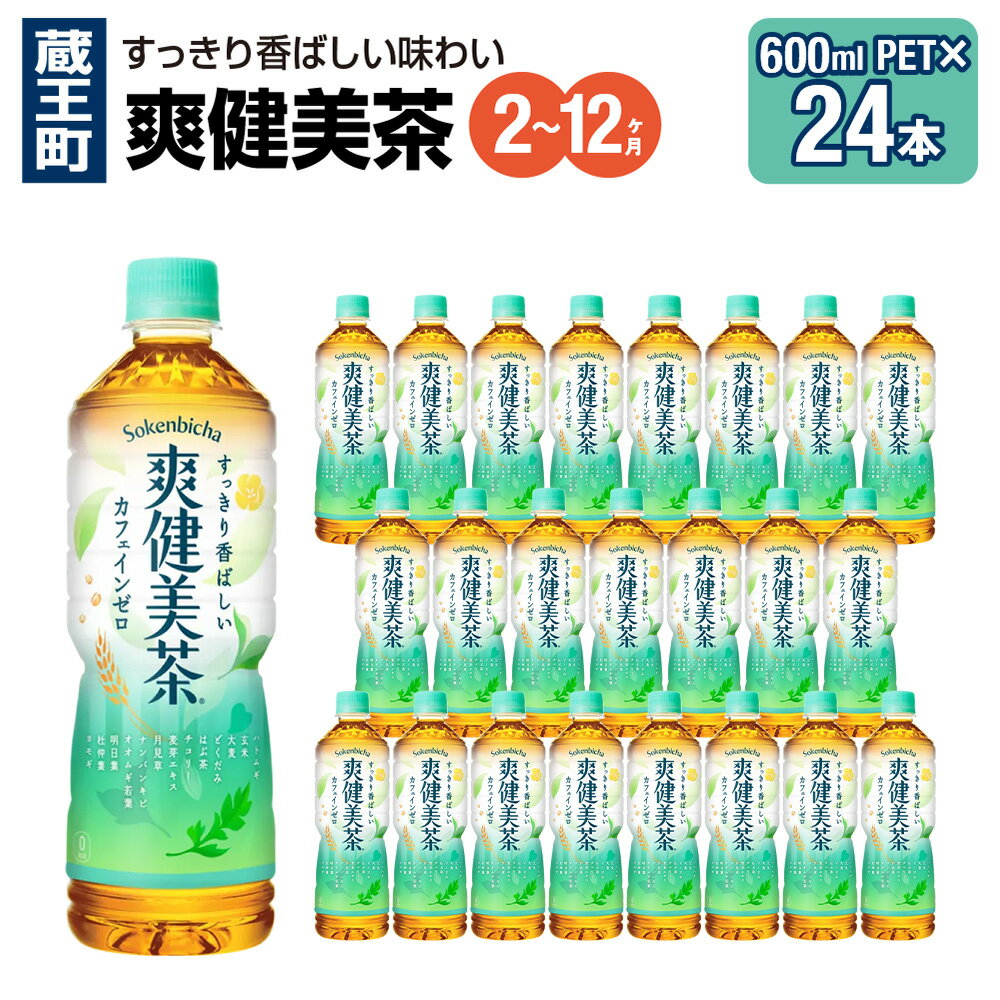 【ふるさと納税】【2〜12か月連続お届け】爽健美茶　600ml PET×24本　【04301-0028〜30・696〜698】 コカ・コーラ ボトラーズジャパン ペットボトル 合計 14.4L 1ケース 宮城県 蔵王町 定期便 そうけんびちゃ お茶 ブレンド茶 送料無料 ギフト プレゼント