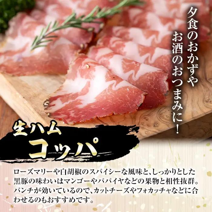 南州農場 黒豚 生ハム ソーセージ 詰合せ あらびきウィンナー (ほうれん草 100g×2 ジンジャー 100g×2)・コッパ40g×1 ソーセージ 生ハム ギフト 【南州農場(株)高山ミートセンター