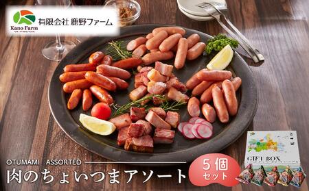 【ふるなび限定】鹿野ファーム 肉のちょいつま5種アソート 5個セット FN-Limited