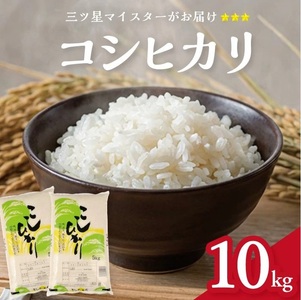 SD0248　令和7年産【精米】庄内産 コシヒカリ　10kg(5kg×2袋) SA