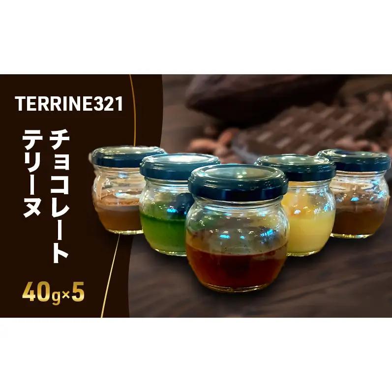 チョコレートテリーヌ 洋菓子スイーツ ギフトチョコレートテリーヌ【40g×5】