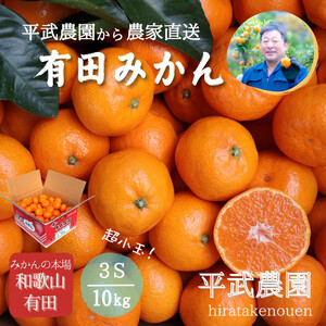 農家直送！有田みかん（10kg 3Sサイズ（超小玉）秀品）平武農園　～蛍飛ぶ町から旬の便り～