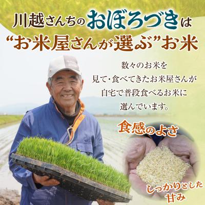 ふるさと納税 雨竜町 【定期便全6回】令和7年産 川越さんちの おぼろづき 玄米 5kg(5kg×1袋)毎月1回お届け |  | 03