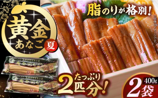 【長崎俵物】 対洲黄金あなご 200g×2袋  夏（なつ） 長崎県/長崎漁港水産加工団地協同組合 [42ZZAD018] アナゴ 穴子 冷凍 煮穴子 煮あなご レンジ 電子レンジ 魚 海鮮 対馬 おかず 丼物 巻き寿司 卵巻き