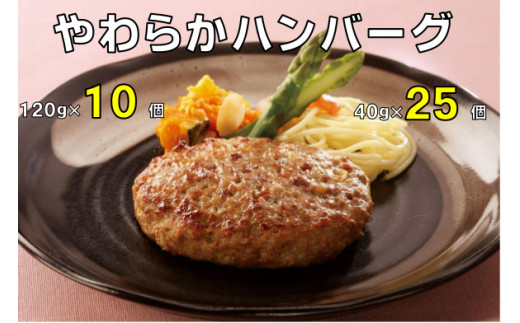 
【A12-25】やわらかハンバーグ120g & 40g セット
