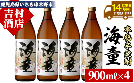 
芋焼酎「海童」900ml ×4 25度 濵田酒造 人気 の 鹿児島 本格芋焼酎! 芳醇軽快【A-1306H】

