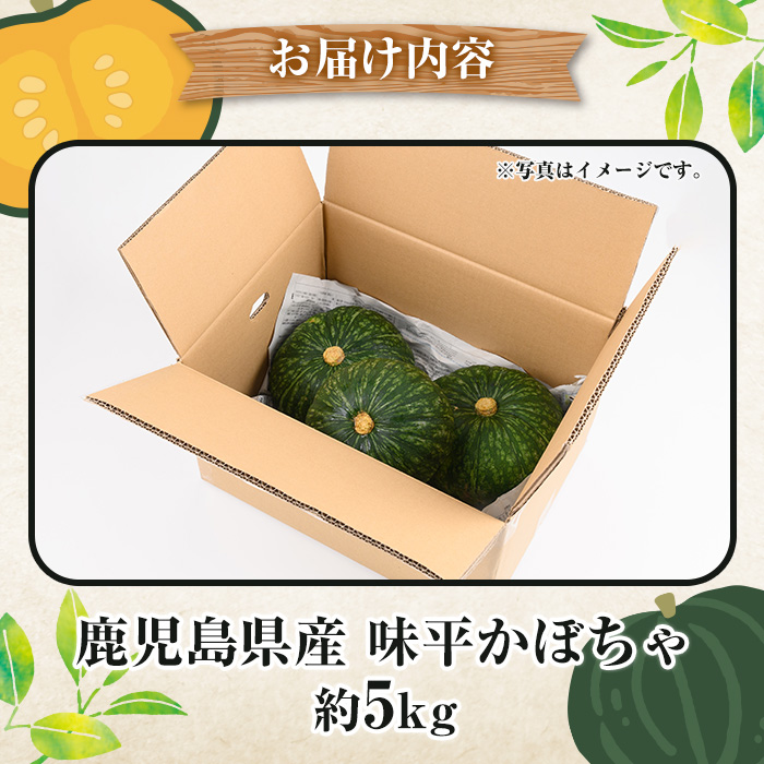 ＜2025年5月以降発送予定＞鹿児島県産 味平かぼちゃ(約5kg) 国産 野菜 かぼちゃ カボチャ 南瓜 煮物 天ぷら バーベキュー BBQ スイーツ お菓子【松永青果】a-16-29