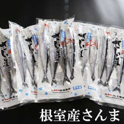 ふるさと納税 根室市 【年内配送可】★冷凍生さんま20尾(4尾×5P) A-32024