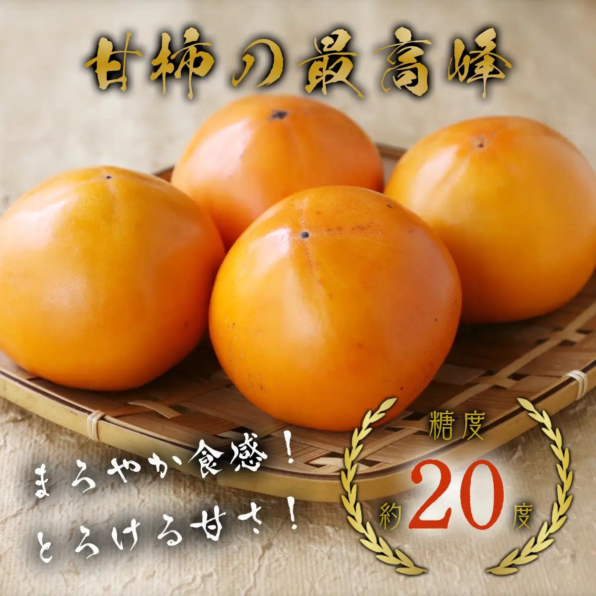 Y088 こおげ花御所柿 2kg